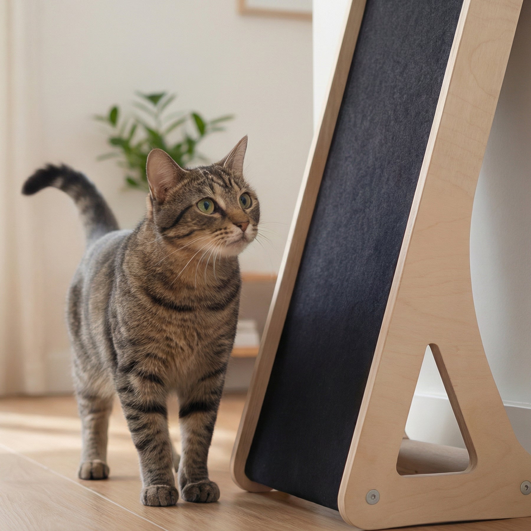 Inclined Wall & Floor Cat Scratcher
