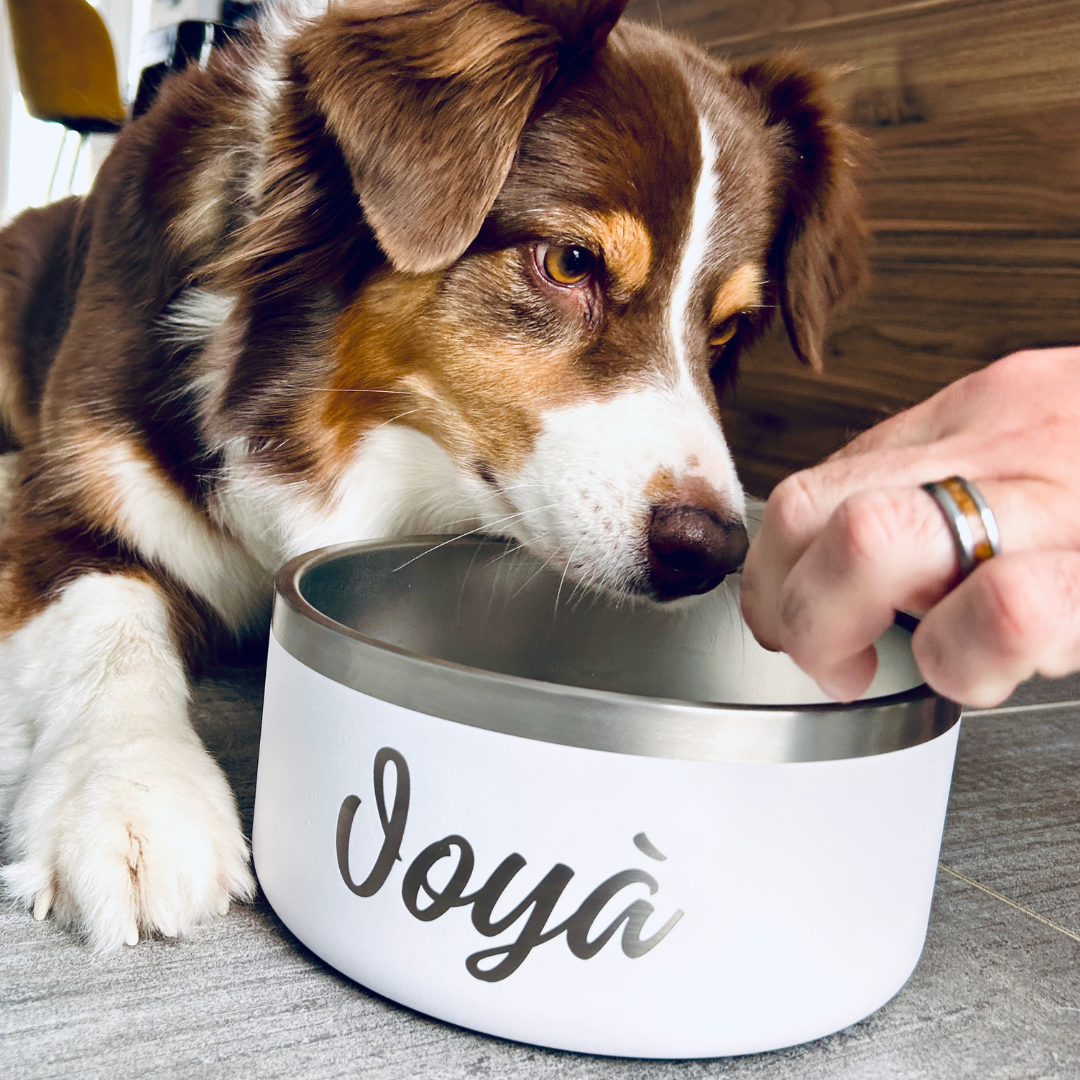Gamelle personnalisée pour chien et chat blanche